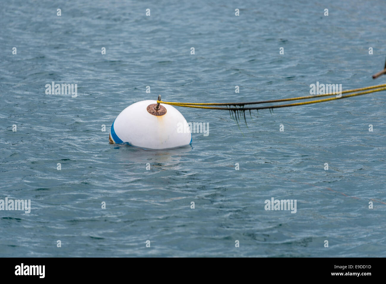 Boje Hafen wasser Ozean closeup weißen Fischen float Floating Stockfoto