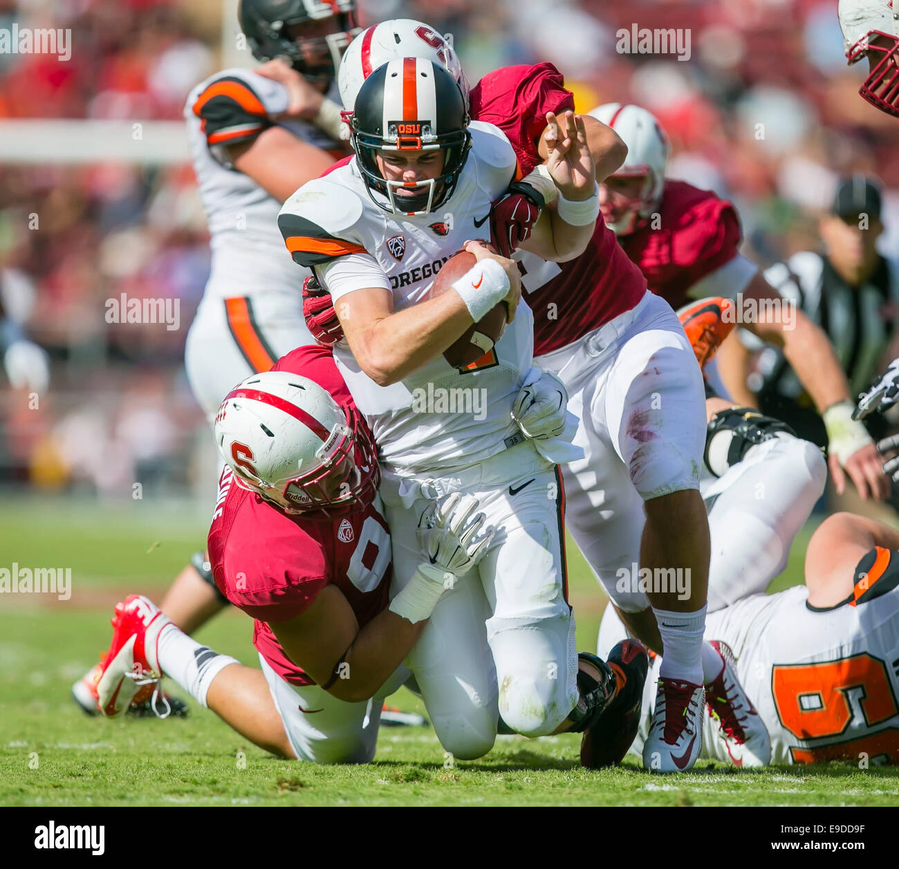 25. Oktober 2014: Oregon State Beavers Quarterback Sean Mannion (4) entlassen, während der NCAA Football-Spiel zwischen der Stanford Cardinal und die Oregon State Beavers im Stanford Stadium in Palo Alto, CA. Stanford besiegt Oregon State 38-14. Damon Tarver/Cal-Sport-Medien Stockfoto