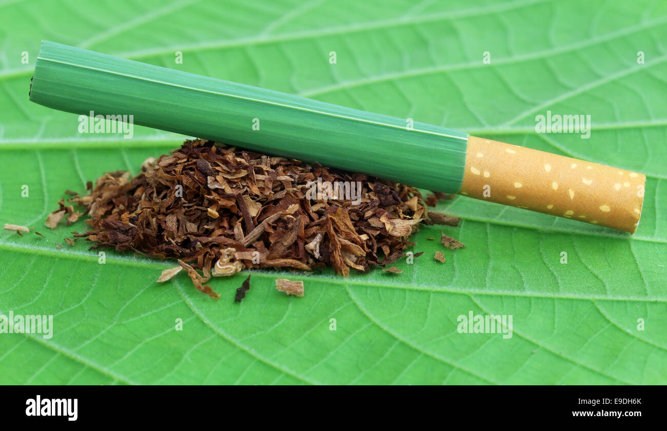 Getrockneten Tabakblätter mit Zigarette auf grünes Blatt Stockfoto