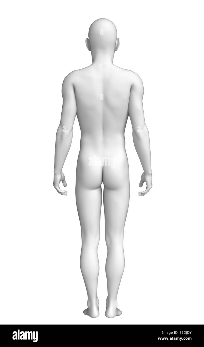Illustration des menschlichen Körpers-Anatomie Stockfoto