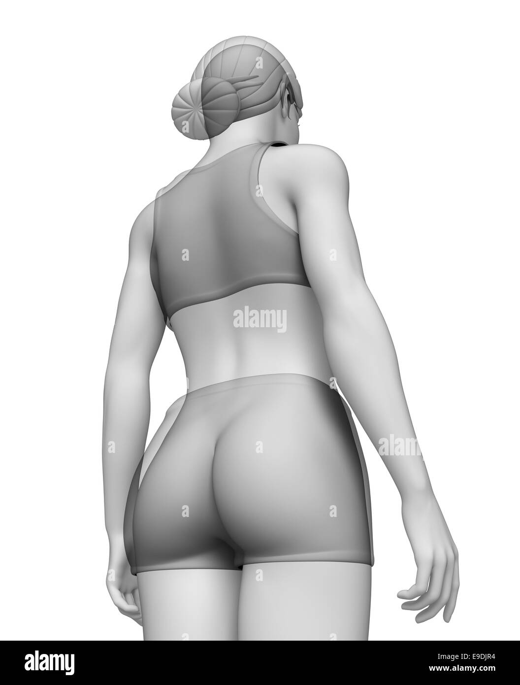 Darstellung des weiblichen Körpers artwrork Stockfoto