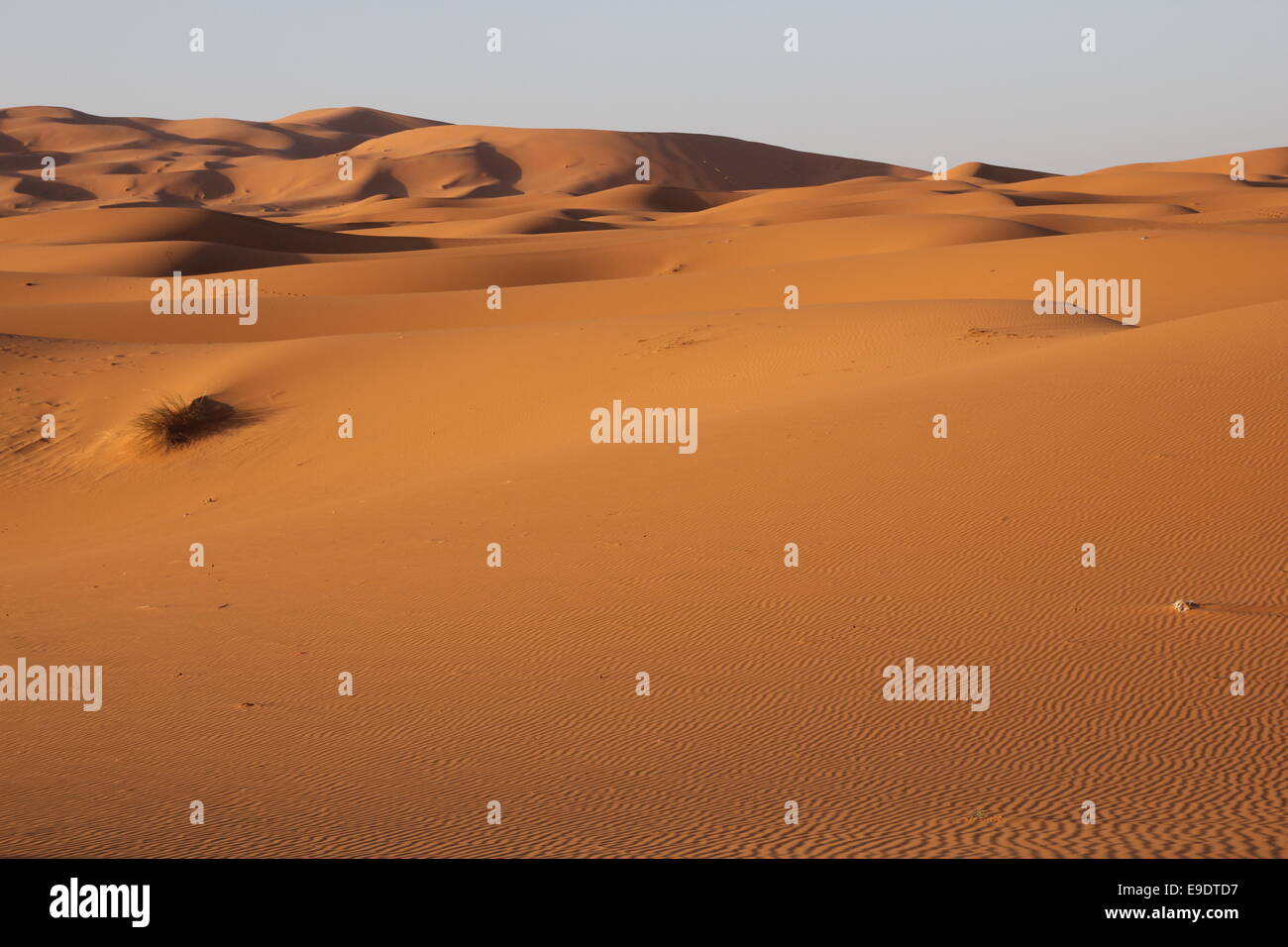 Sand Dünen Sahara Wüste Marokko Sonnenaufgang Afrika Stockfoto