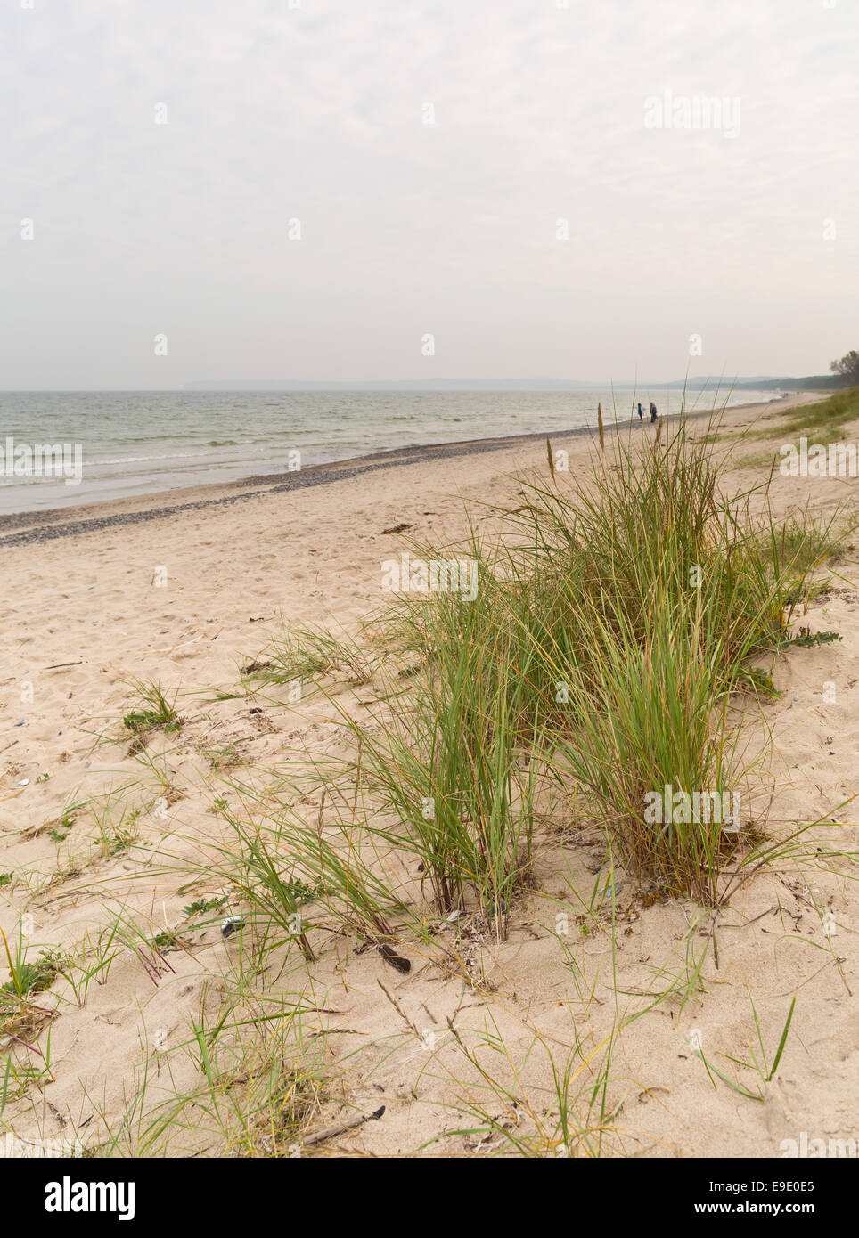 Dünengebieten am Strand in der Nähe von Prora, Rügen, Deutschland, Europa Stockfoto