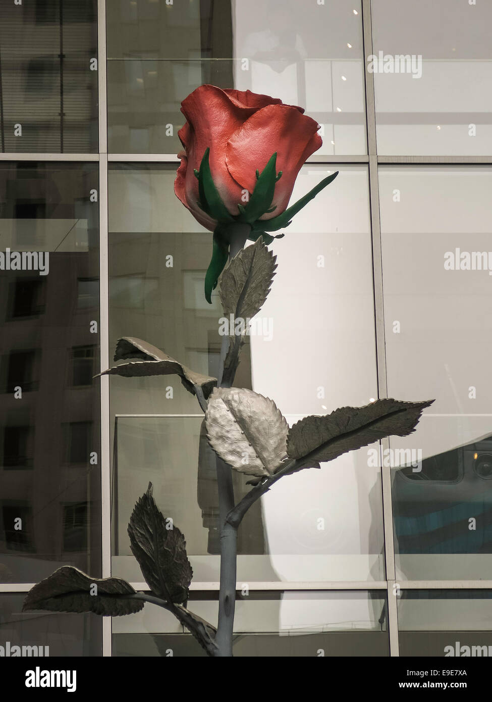 Abby Aldrich Rockefeller Sculpture Garden, Rose 11, Museum of Modern Art, New York Stockfoto