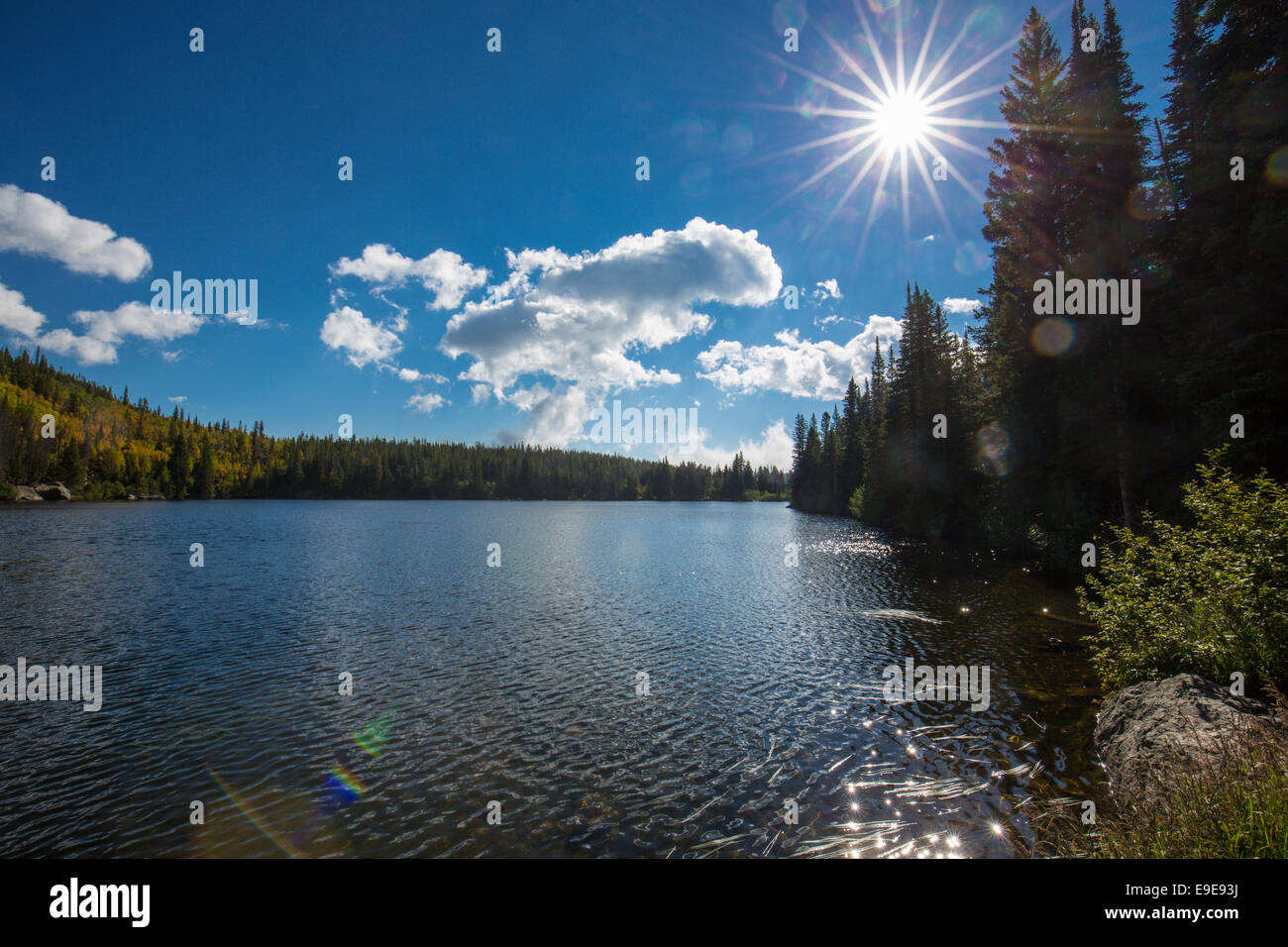 Bear Lake in Rocky Mountain Nationalpark Colorado Stockfoto