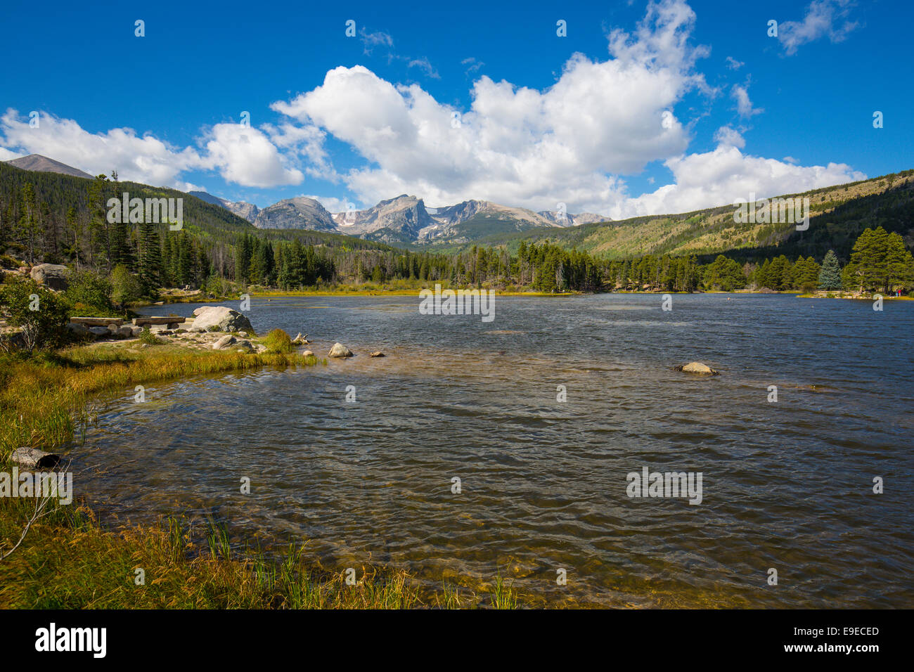 Sprague Lake in Rocky Mountain Nationalpark Colorado Stockfoto