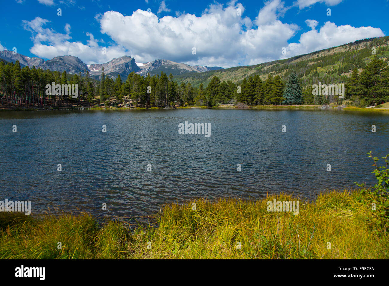 Sprague Lake in Rocky Mountain Nationalpark Colorado Stockfoto