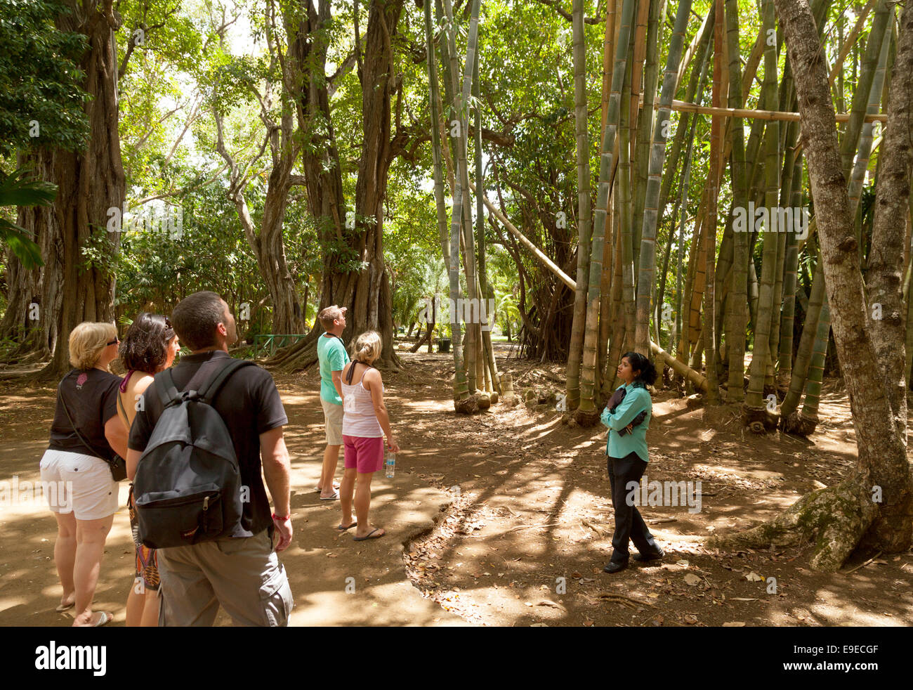 Touristen auf einer geführten Tour, Sir Seewoosagur Ramgoolam Botanical Gardens Pamplemousses, Mauritius Stockfoto