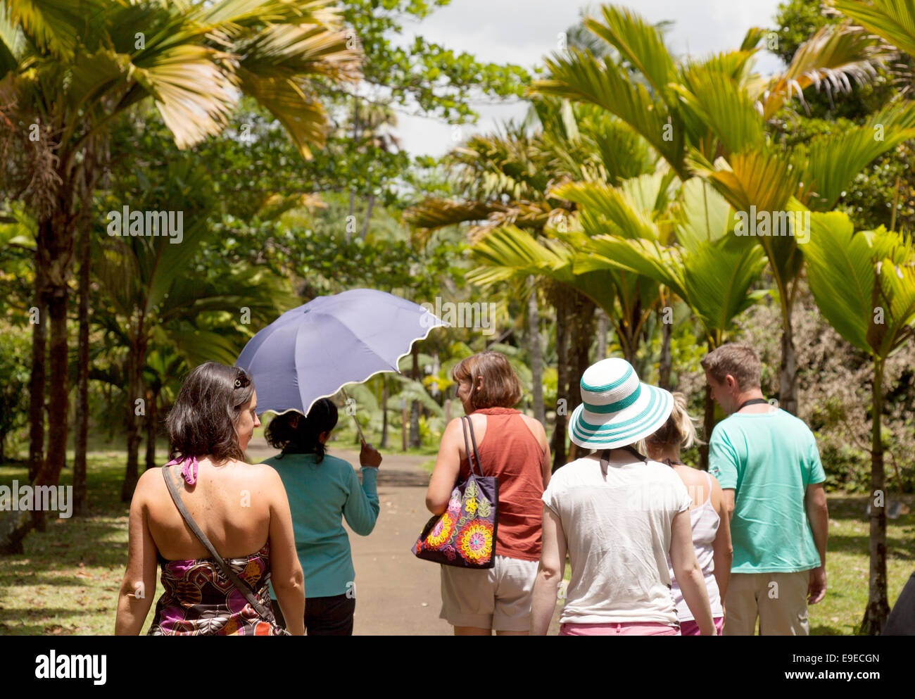 Touristen auf einer geführten Tour, The Sir Seewoosagur Ramgoolam Botanical Gardens, Pamplemousses, Mauritius Stockfoto