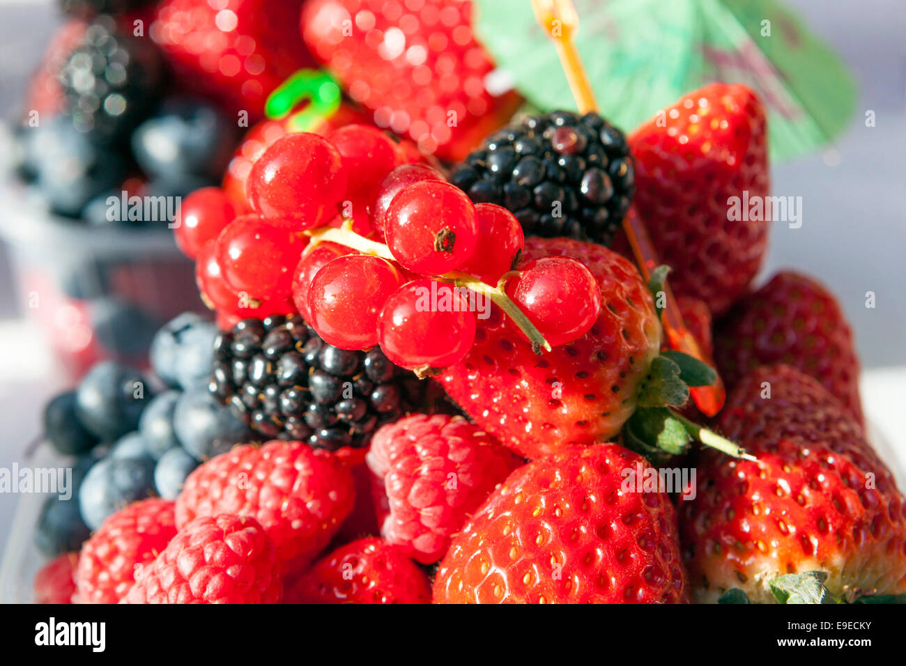Verschiedene bunte Beeren Blackberry Erdbeeren Himbeeren Heidelbeeren Stockfoto
