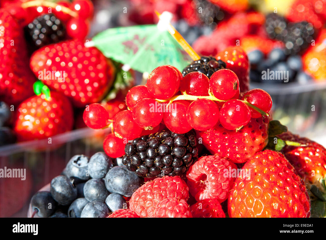 Erdbeeren, Heidelbeeren schließen gemischte Früchte in einer Plastikbox Stockfoto