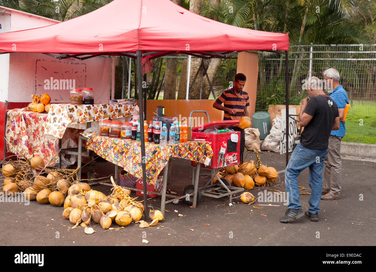 Ein am Straßenrand Stall zu verkaufen Kokosnüsse zu trinken, Mauritius Stockfoto