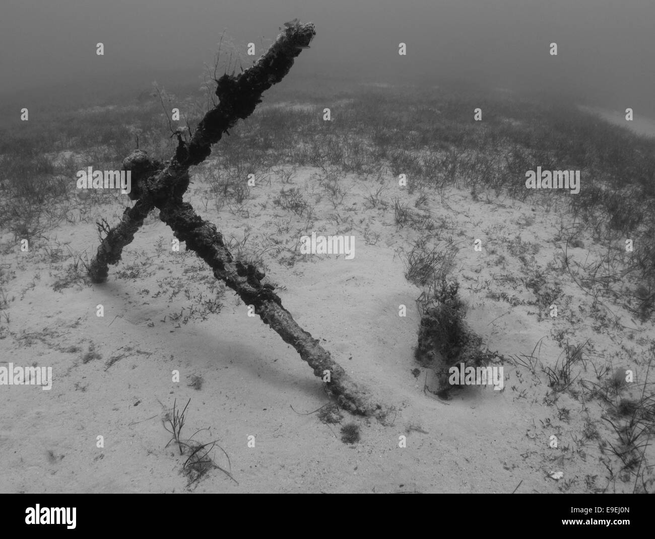 Ankern Sie in den Sand am Cirkewwa, Malta, Mittelmeer. Stockfoto