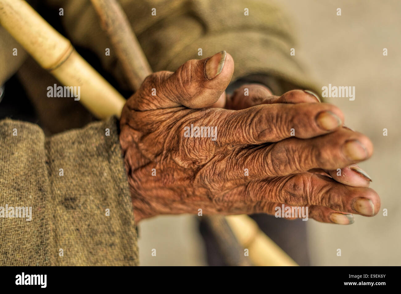Faltige Hände eines indischen hält einen Stock Stockfoto