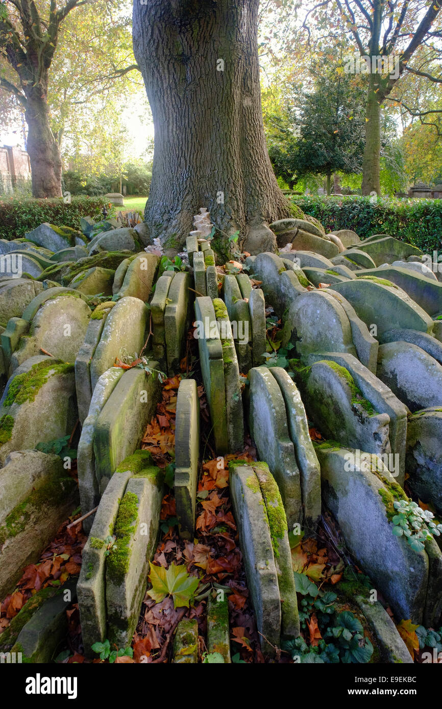 Grabsteine von exhumiert, um den Baum von Thomas Hardy in St. Pancras Old Church in Camden, London, England Stockfoto