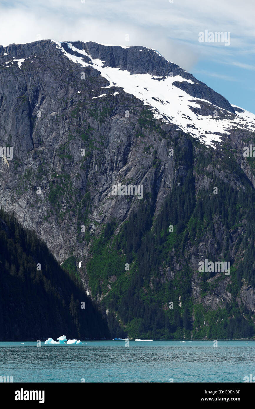 Sheer-von Mauern umgebenen Berge erhebt sich über Tracy Arm, südöstlichen Alaska, USA Stockfoto