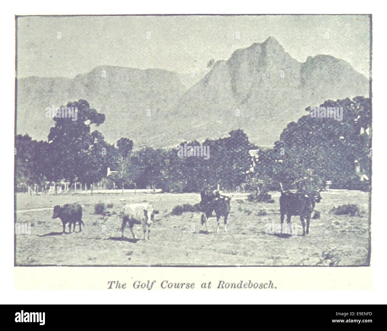 Salmond(1896) pg079 The Golf Course in Rondebosch Stockfoto