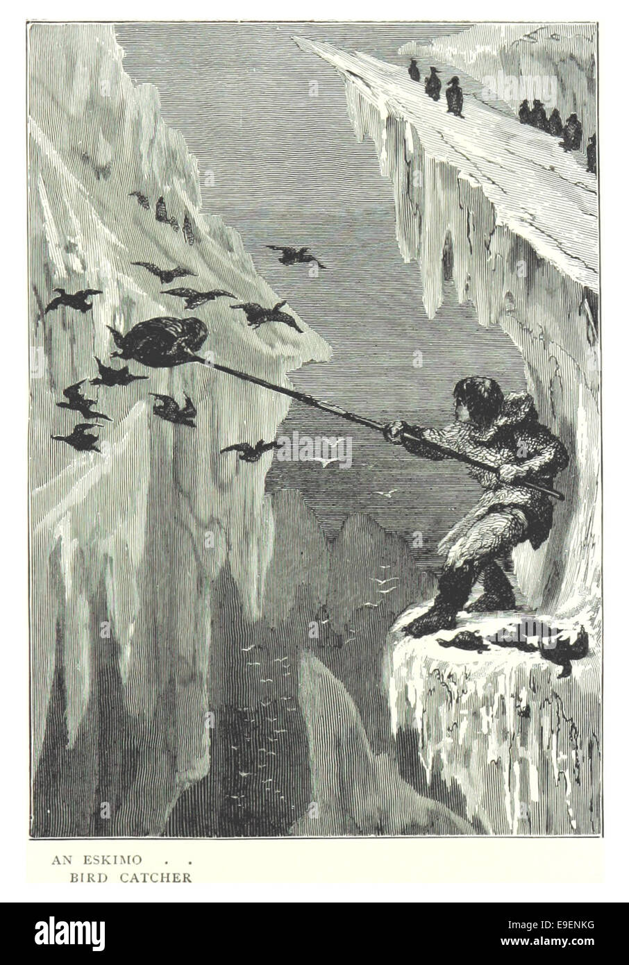 Eine Illustration aus Scotts Werk von 1899, Seite 215, zeigt einen Eskimo-Vogelfänger und zeigt traditionelle Jagdpraktiken in arktischen Regionen. Stockfoto