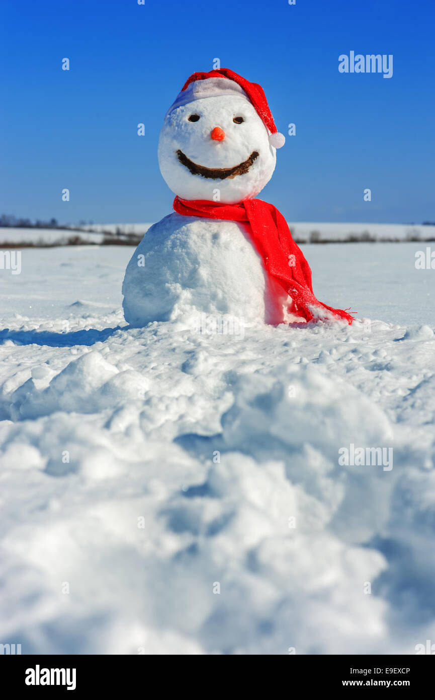 Schneemann in Himmel schauen und warten, Frühling Stockfoto