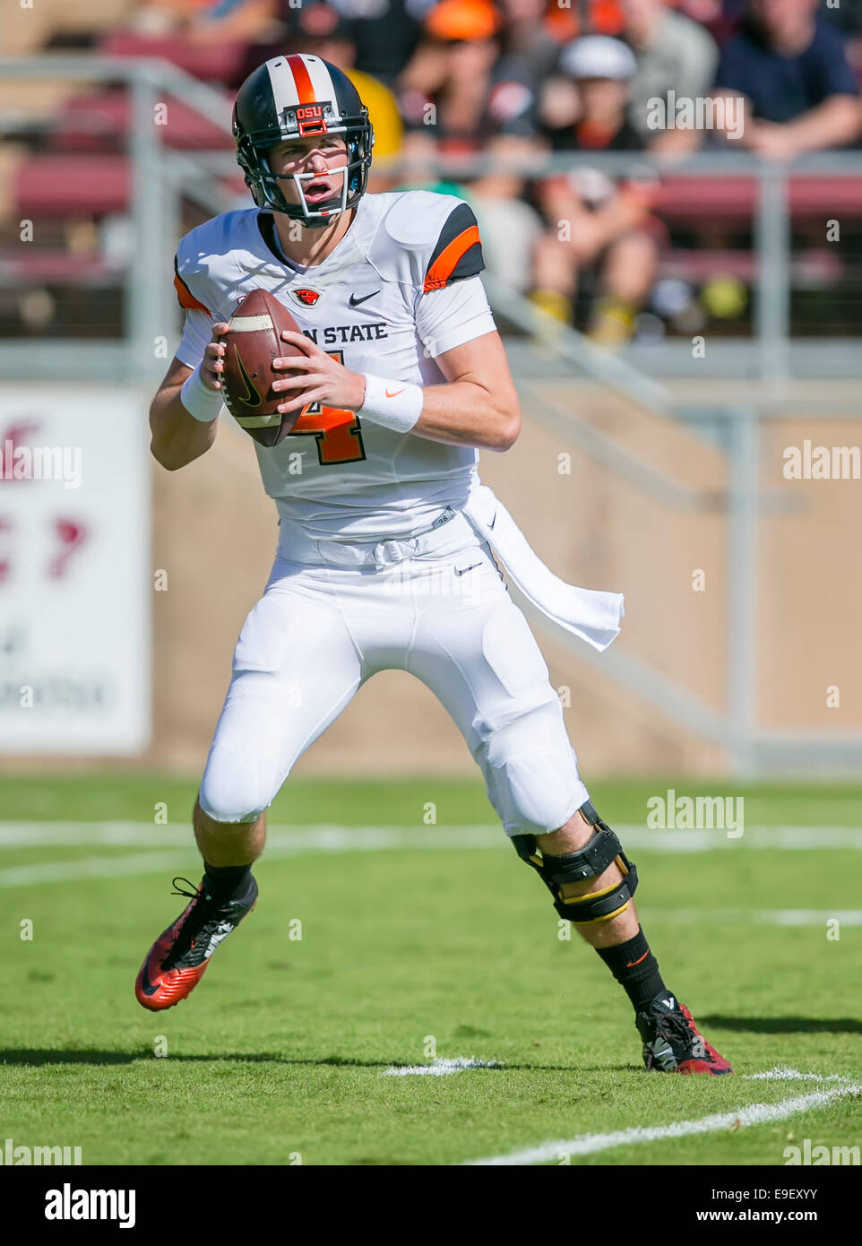 25. Oktober 2014: Oregon State Beavers Quarterback Sean Mannion (4) in Aktion während der NCAA Football-Spiel zwischen der Stanford Cardinal und die Oregon State Beavers im Stanford Stadium in Palo Alto, CA. Stanford besiegte Oregon State 38-14. Damon Tarver/Cal-Sport-Medien Stockfoto