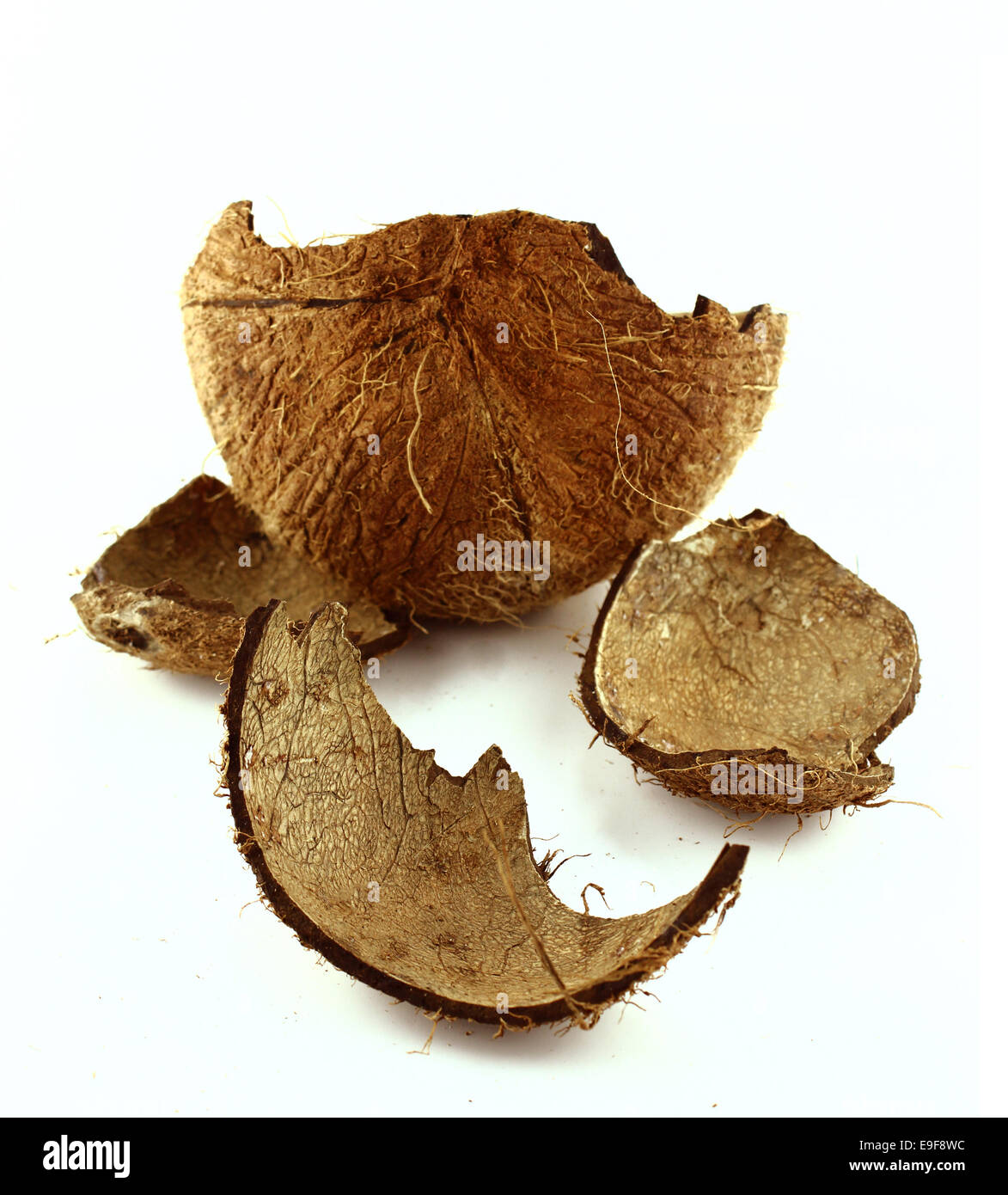 Kokosnussschale Stockfoto