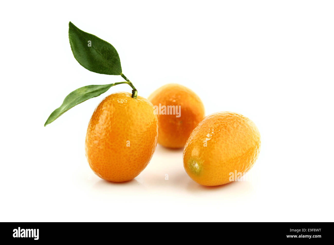 Kleine essbare frucht -Fotos und -Bildmaterial in hoher Auflösung – Alamy Kleine essbare frucht -Fotos und -Bildmaterial in hoher Auflösung – Alamy