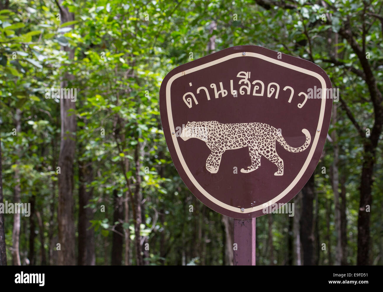 Am Straßenrand Zeichen Warnung Leoparden befinden sich im Bereich, Huai Kha Khaeng Wildlife Sanctuary, Thailand Stockfoto