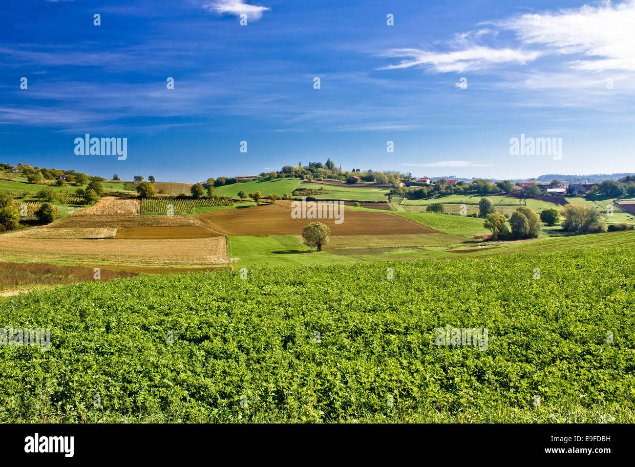 Schöne grüne Natur unter blauem Himmel Stockfoto