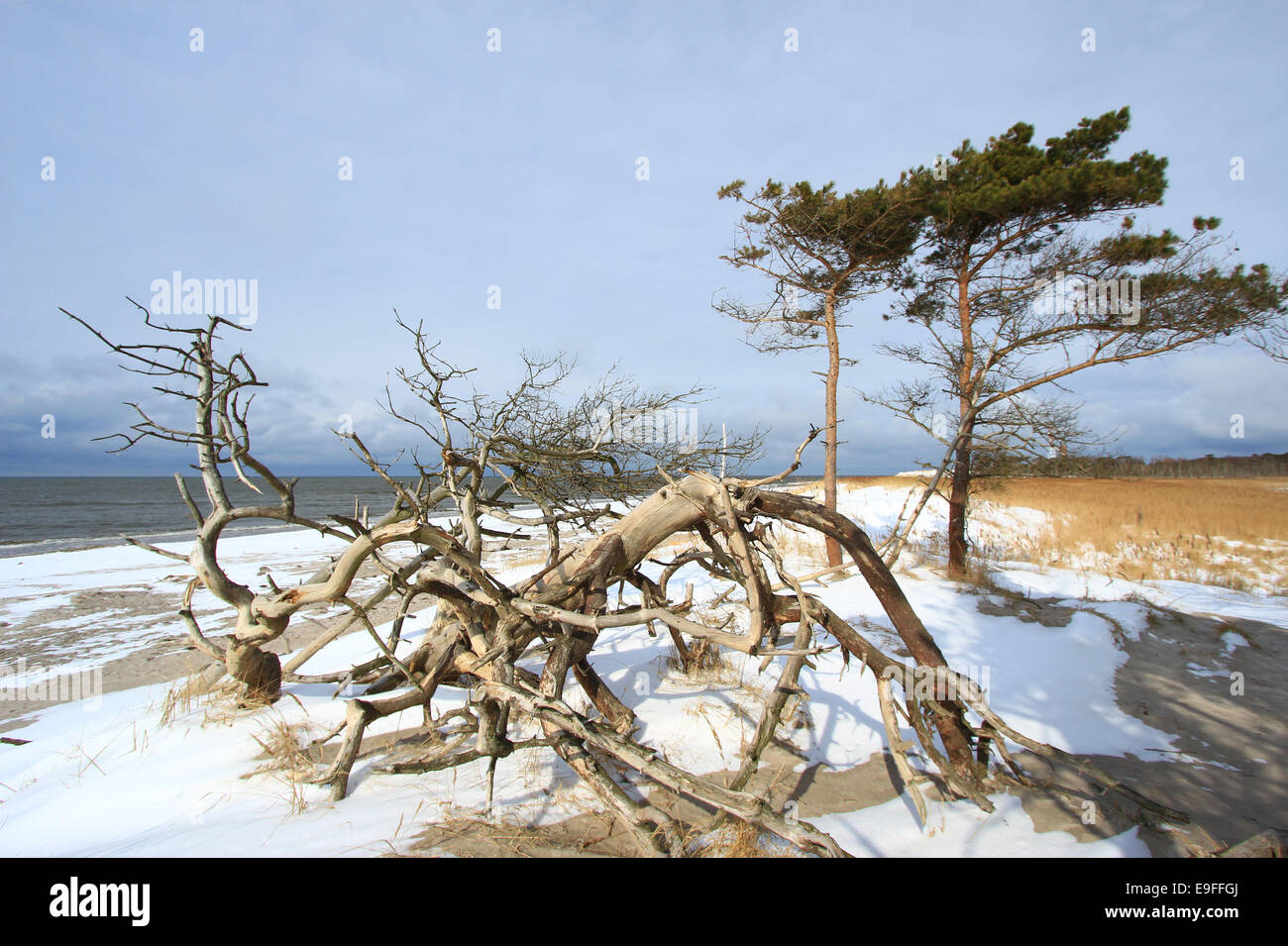Ostsee im winter Stockfoto