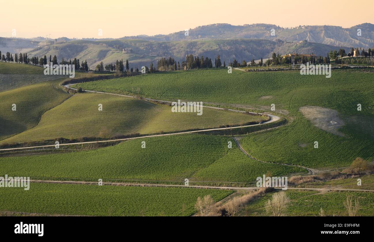 Toskanischen Hügel Stockfoto