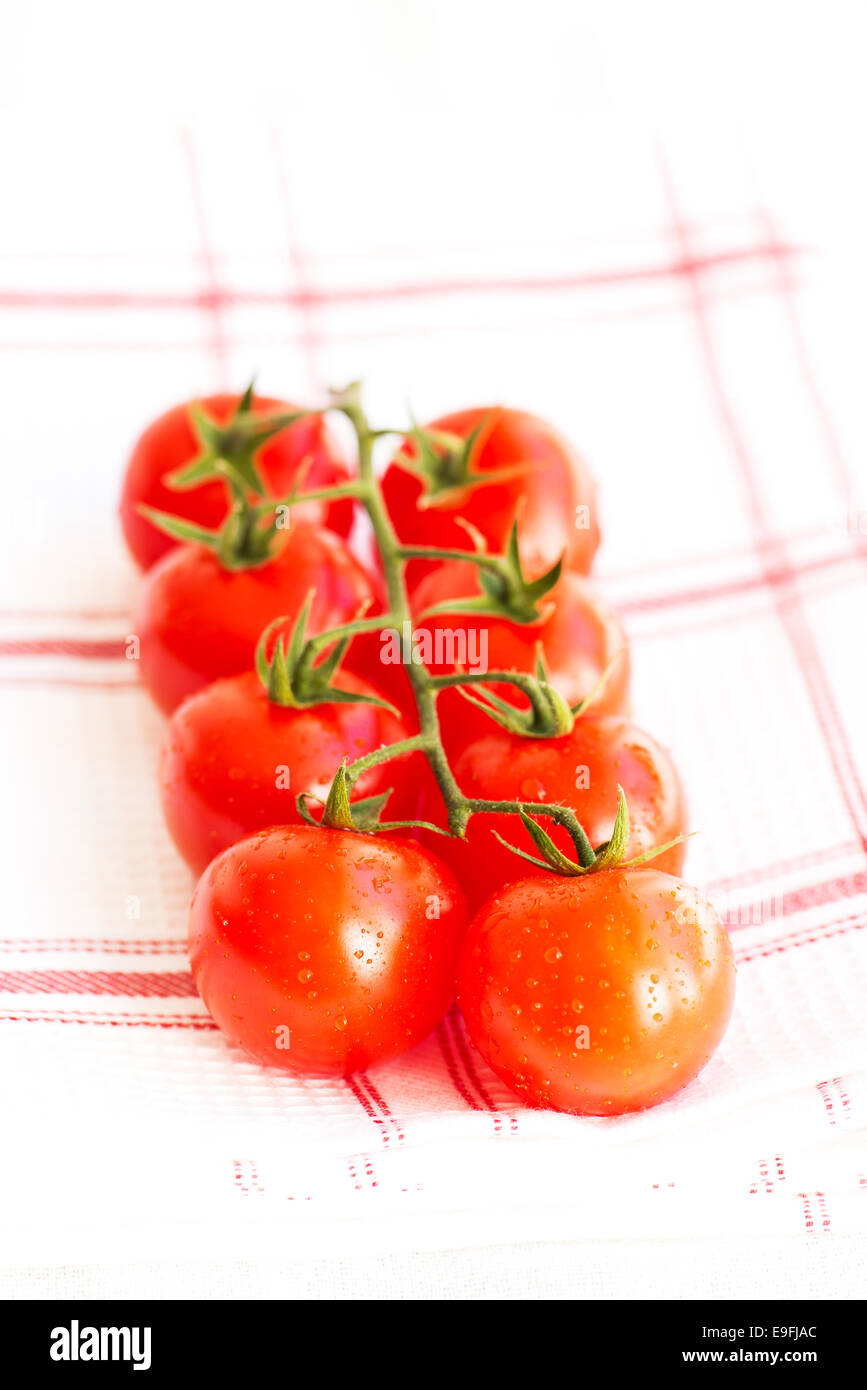 Saftige nasse Bio Cherry-Tomaten Stockfoto