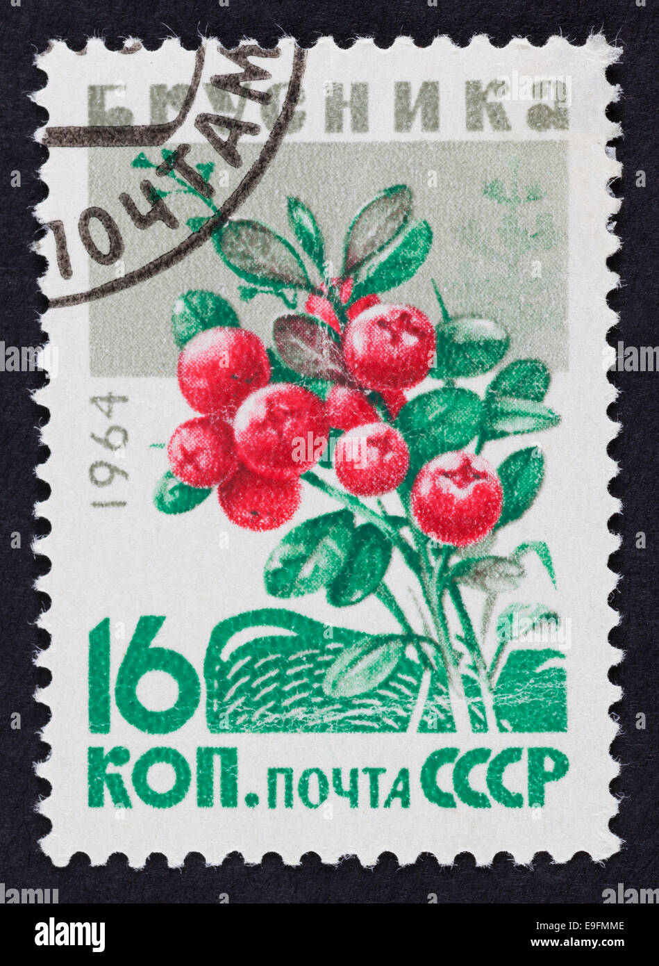 USSR Briefmarke Preiselbeere. Jahr 1964. Schwarzer Hintergrund. Stockfoto