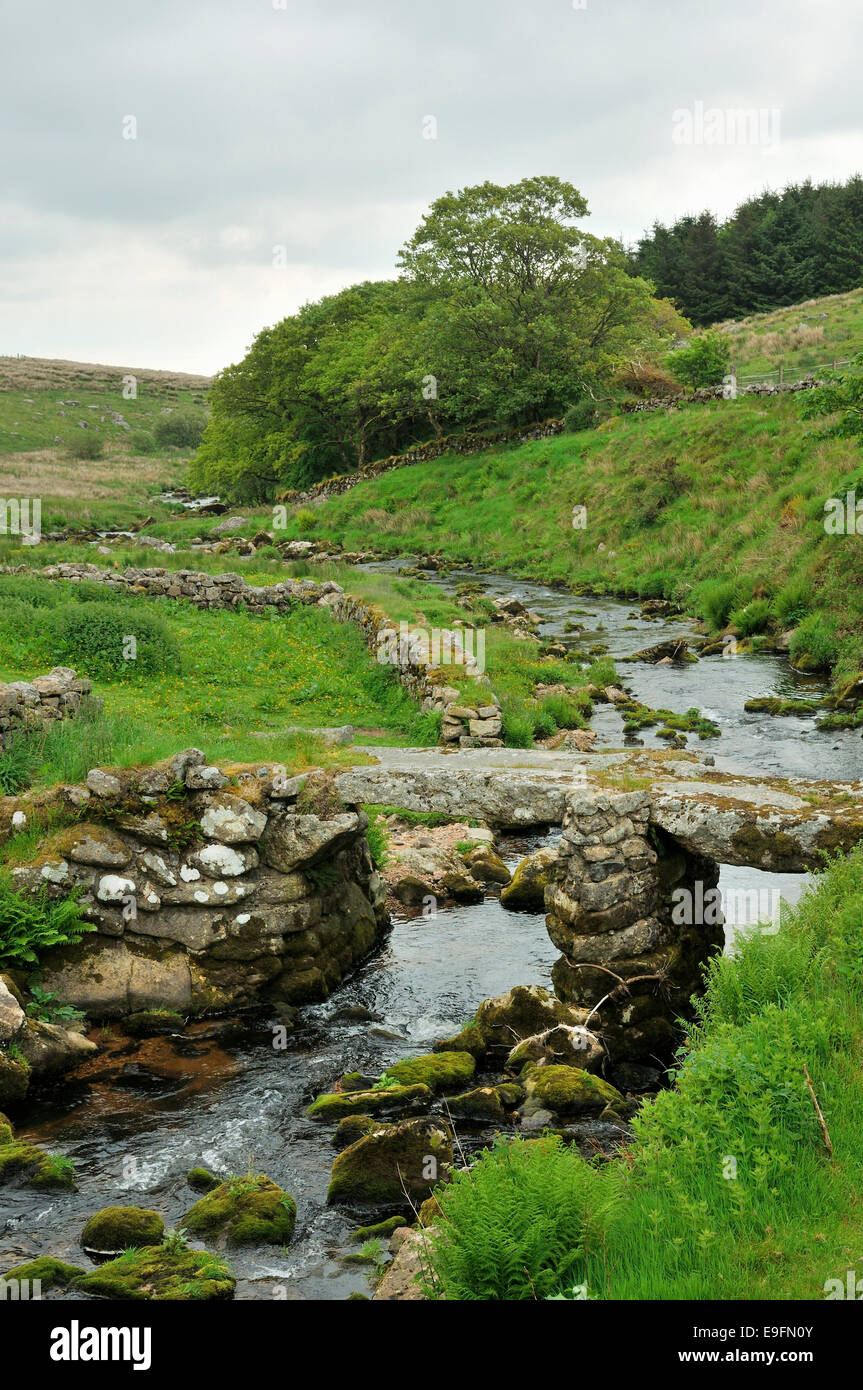 Klöppel Brücke über Blackbrook, Nr Princetown, Dartmoor Stockfoto