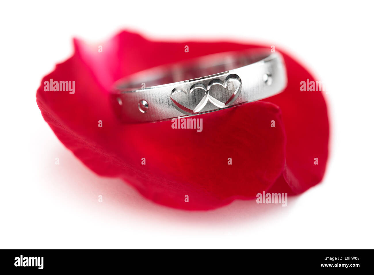 Silberring mit Gravur Herzen auf Rosenblättern. Stockfoto