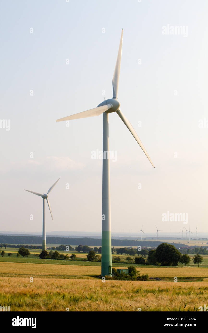 Windkraft zwischen Maisfeld und Holz Stockfoto