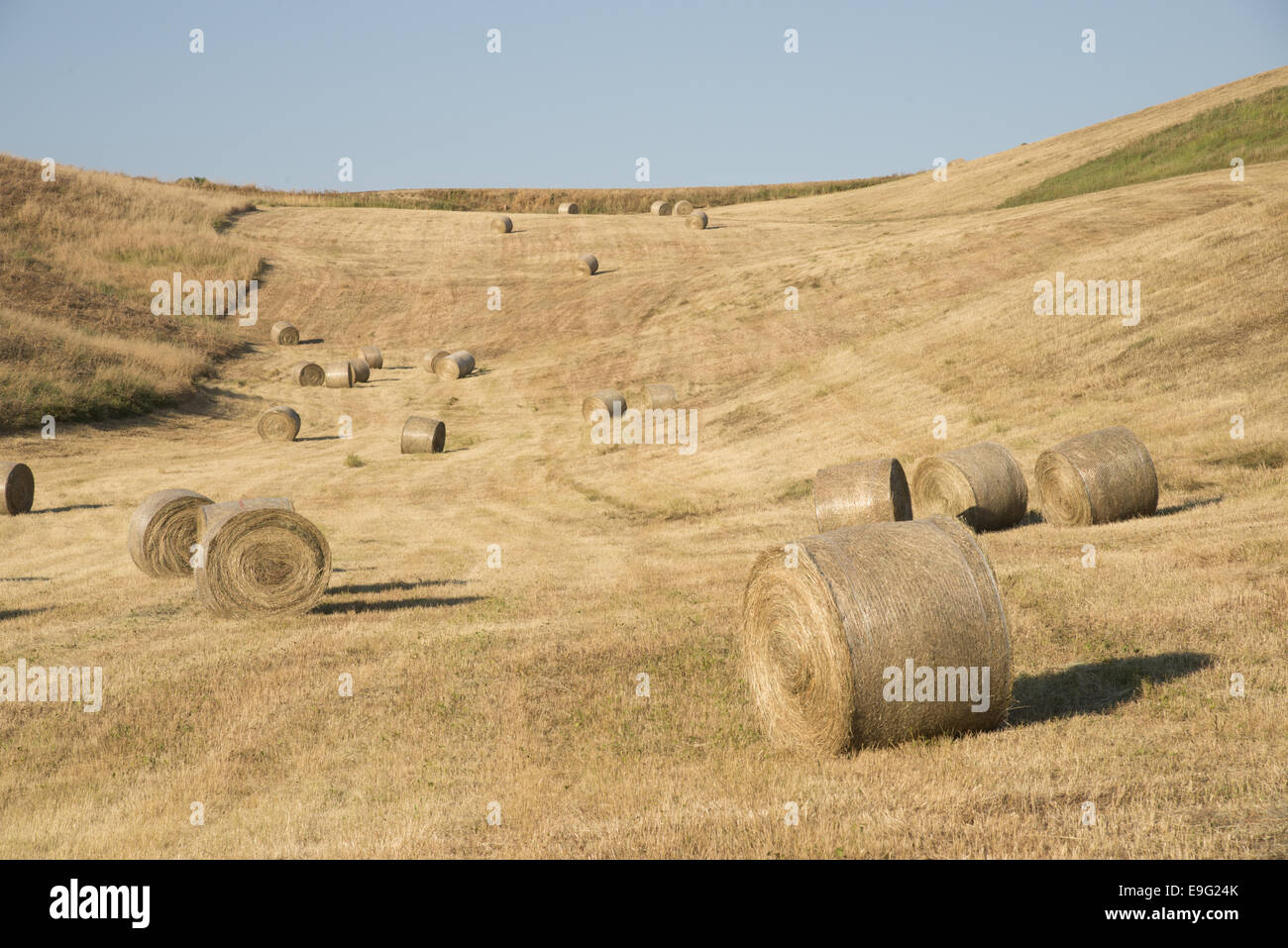 Heu-Kugeln Stockfoto