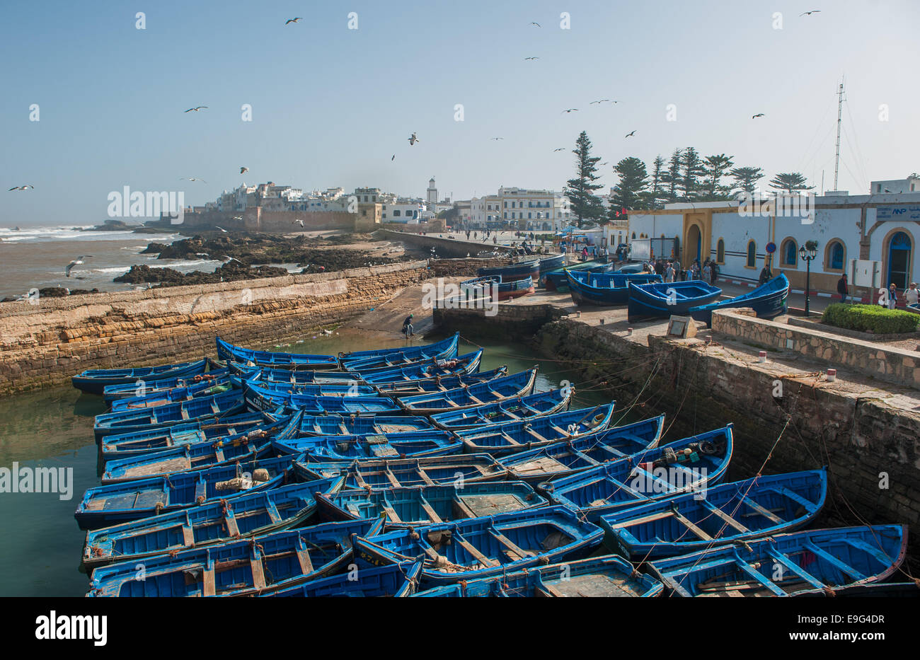 Fischer Boote im Hafen von Essaouira, Marokko Stockfoto