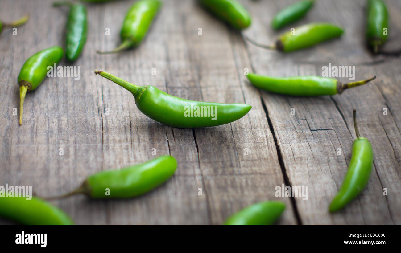 Frische Jalapenos-Chili-Pfeffer Stockfoto