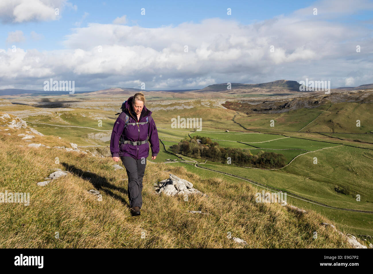 Walker und der Blick über Crummack Dale in Richtung der Berg von Pen-y-Gent, Yorkshire Dales UK Stockfoto