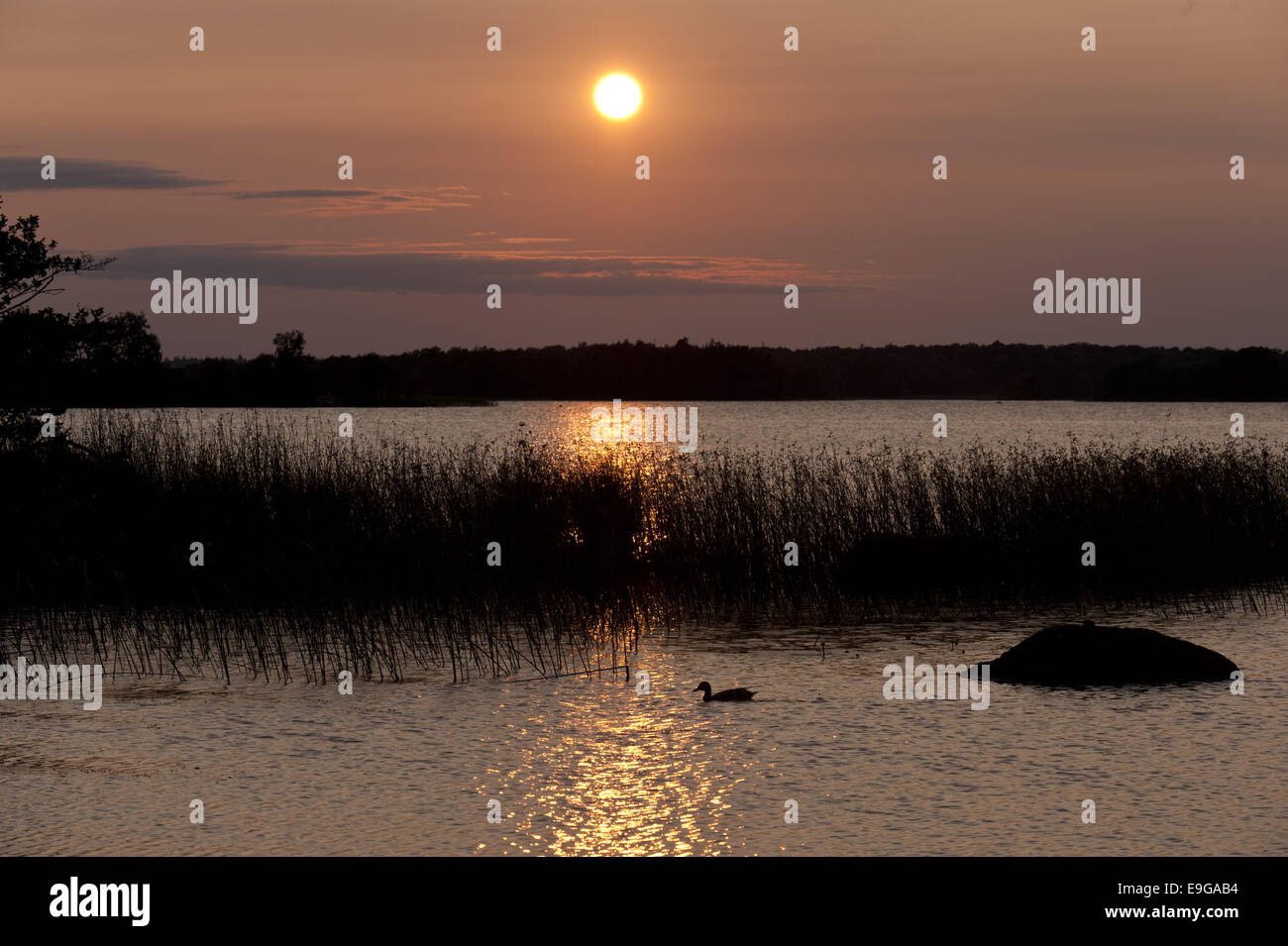 Sonnenuntergang Stockfoto