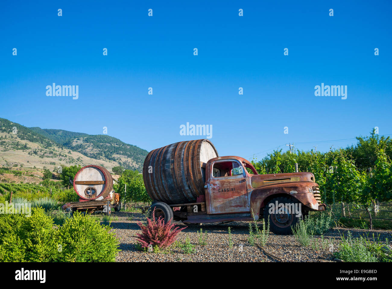 Alte LKW mit Weinfässern, Cassini Cellars Winery, Oliver, Okanagan Valley, British Columbia, Kanada Stockfoto