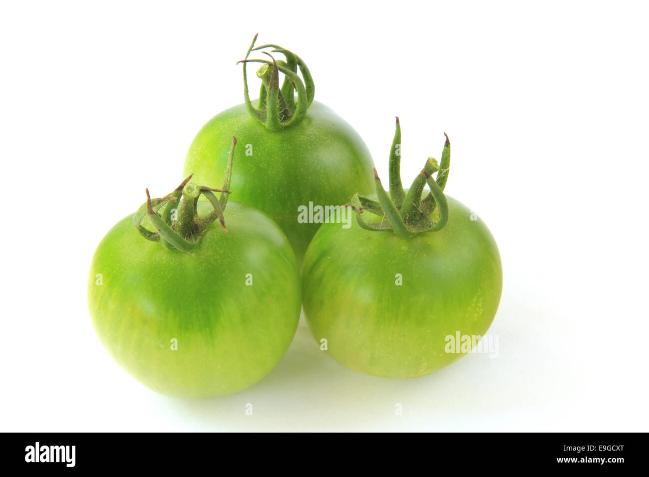 Grüne Tomaten Stockfoto