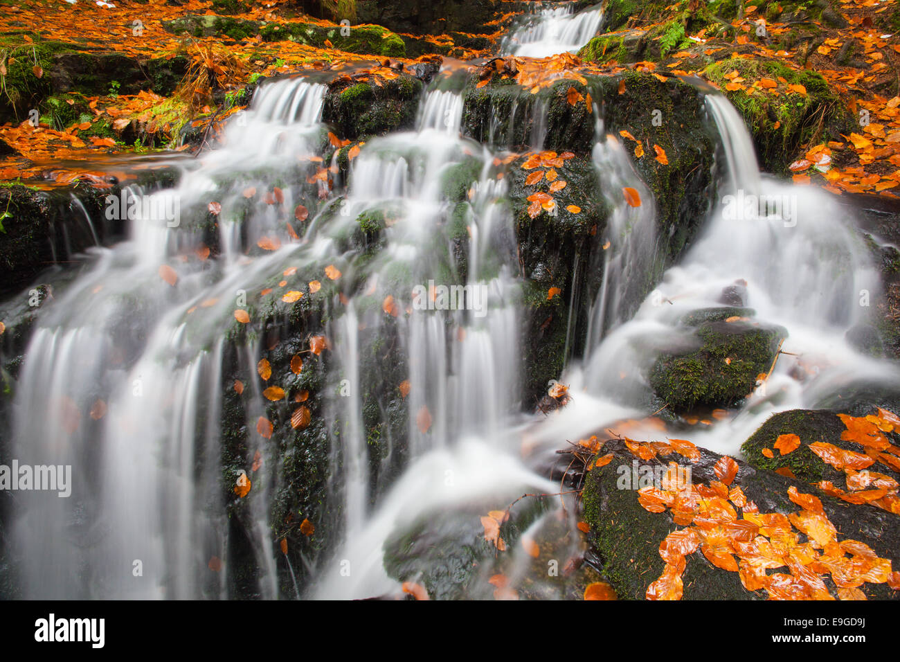 Wenig fällt [Wasserfall] Stockfoto
