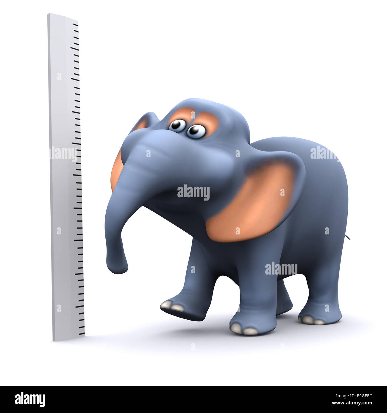 3D Rendering eines Elefanten mit einem Lineal messen Stockfoto