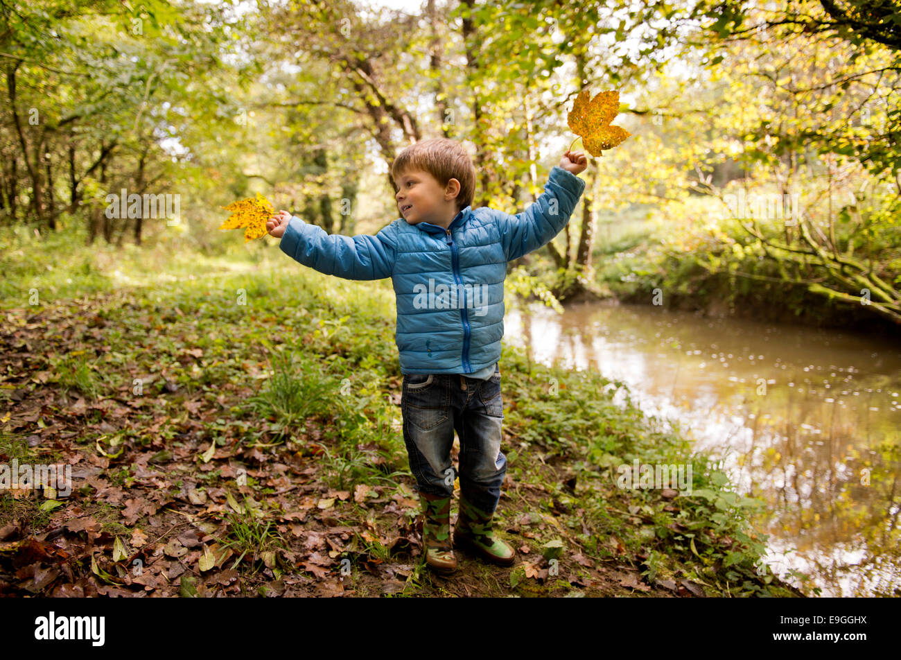 Kleiner Junge mit einer einschalten Ahorn Blatt ein Herbstmorgen im Wald UK Stockfoto