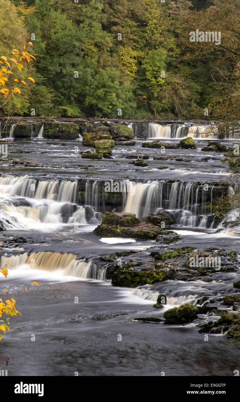 Upper Aysgarth Falls auf dem Fluß Ure im Herbst, Aysgarth, Yorkshire Dales National Park, North Yorkshire, England, UK Stockfoto