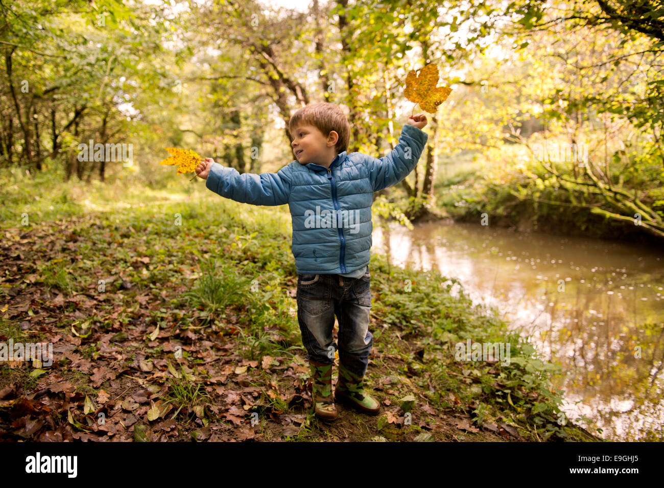 Kleiner Junge mit einer einschalten Ahorn Blatt ein Herbstmorgen im Wald UK Stockfoto