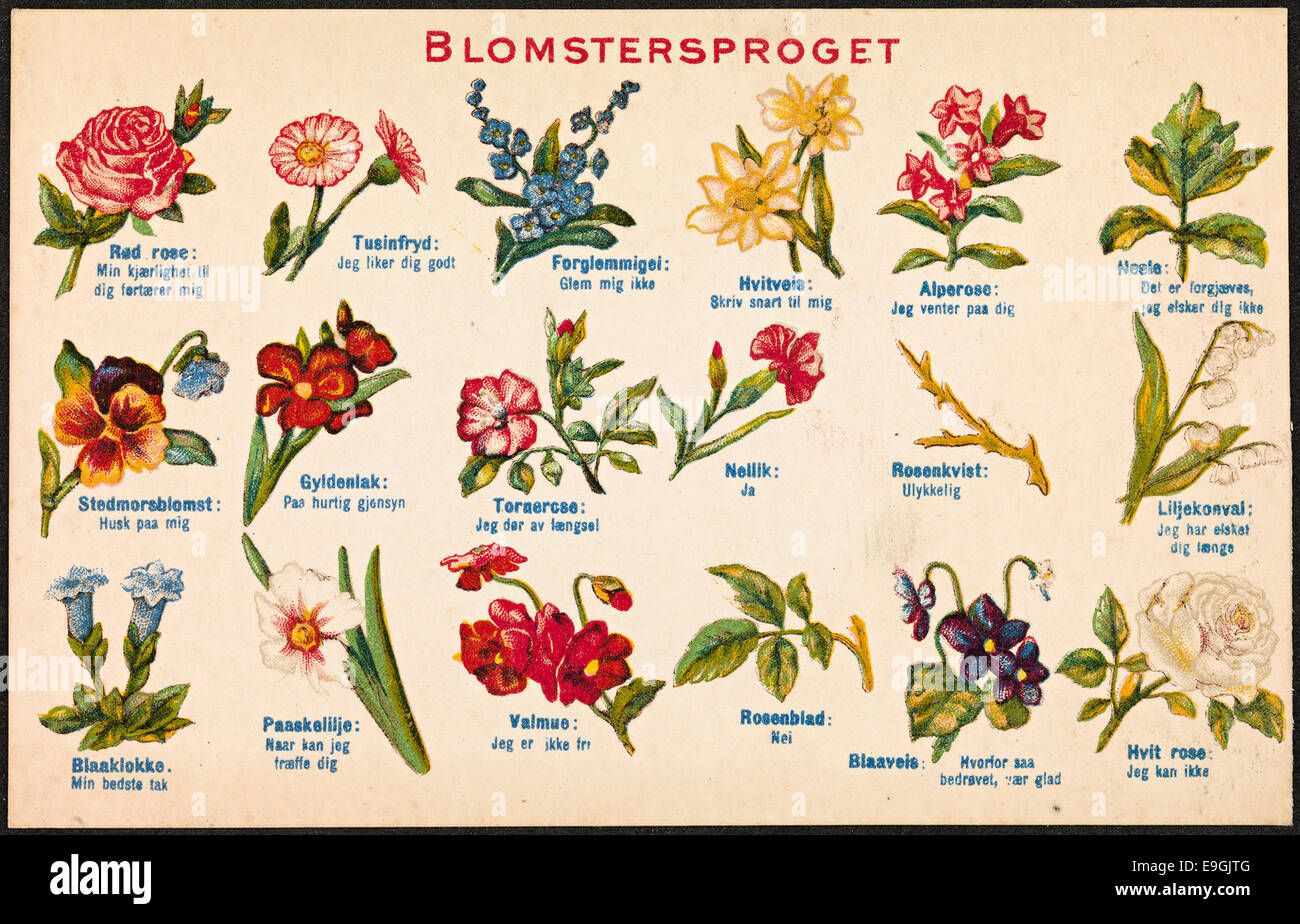 Diese Vintage-Postkarte zeigt Blumen im Zusammenhang mit Valentinstag mit dem Titel „Blomsterspråket“ oder „die Sprache der Blumen“. Das Bild zeigt die symbolische Bedeutung von Blumen, wobei der Schwerpunkt auf Liebe und Zuneigung zum Valentinstag liegt. Stockfoto