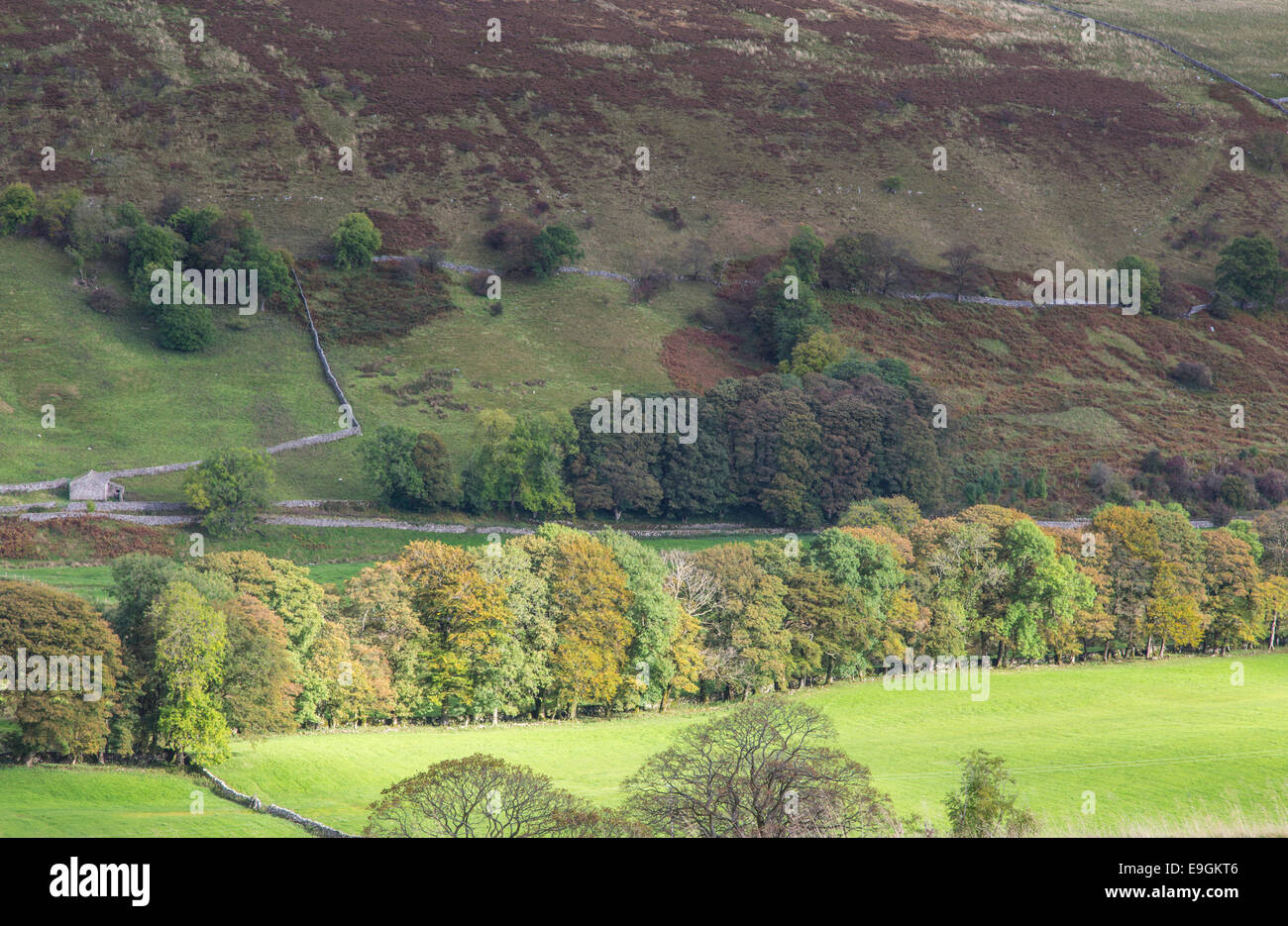 Wellen von Licht in Littondale, Yorkshire Dales National Park, North Yorkshire, England, UK Stockfoto