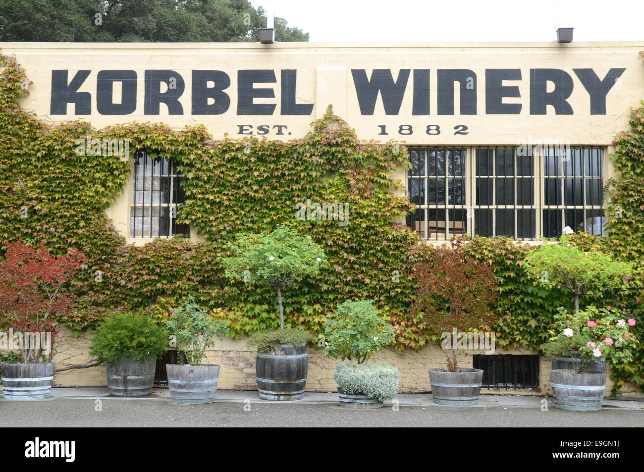 Korbel Weingut, Sonoma Valley, Kalifornien Stockfoto